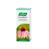 A. Vogel Echinaforce dråber Bioforce, 50 ml.