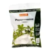 Fribol Sukkerfri Pebermynte drops, 60 g